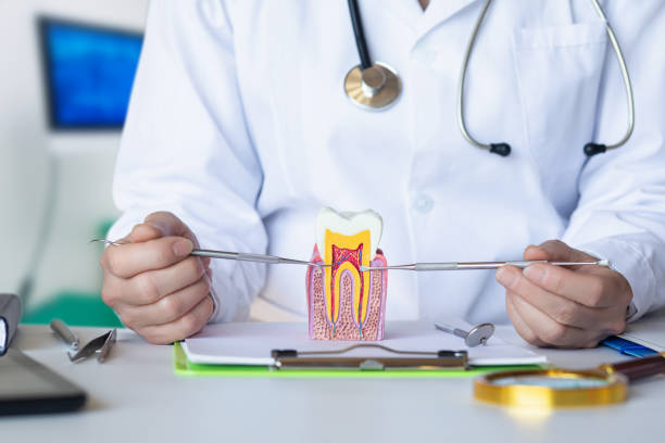 Best Emergency Root Canal Treatment in Perry, IA